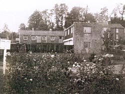 Before development