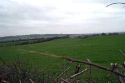 View from the site