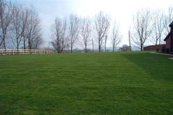 The Old Barn