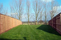 Meadow Cottage